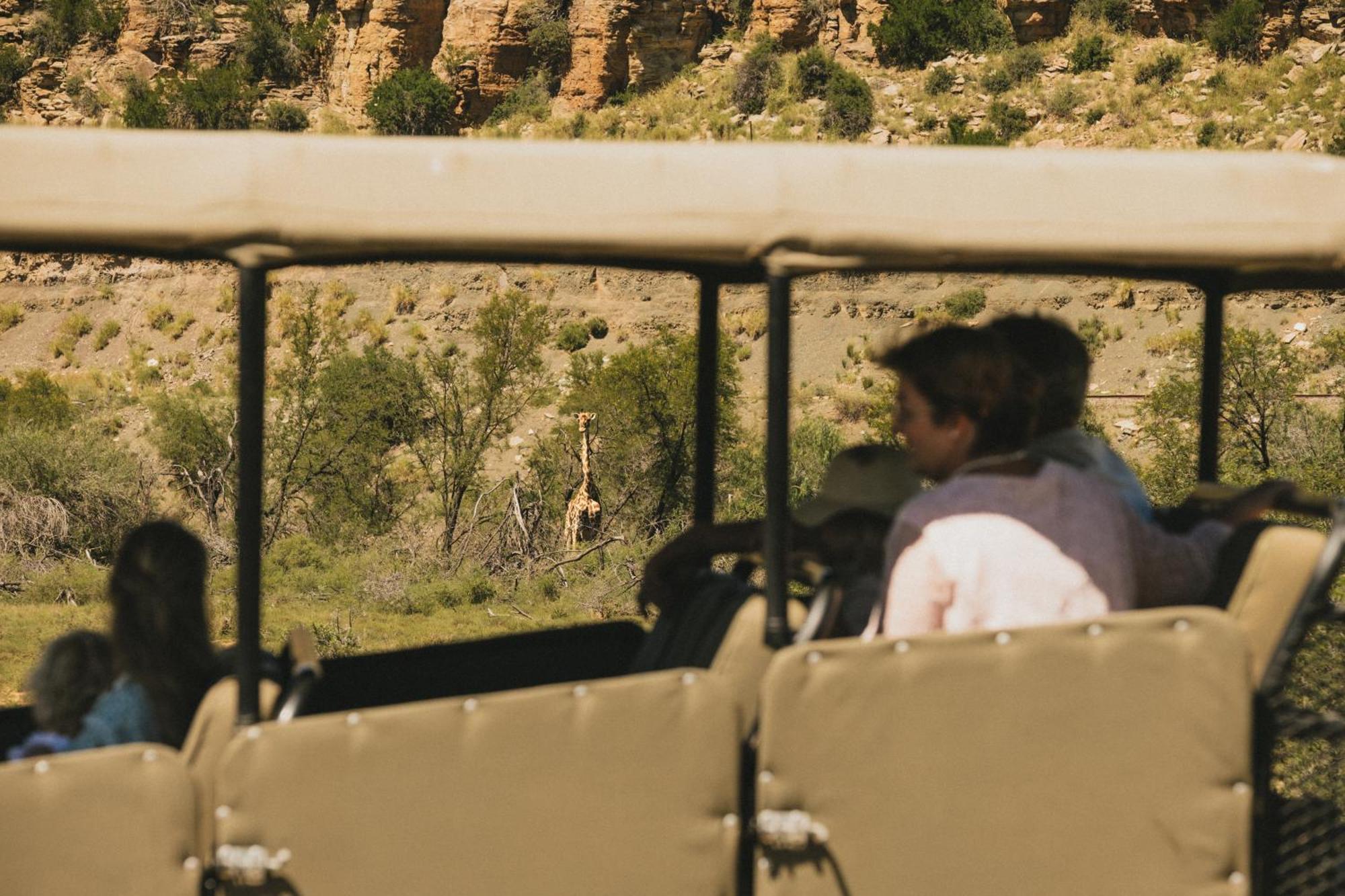 Buccara Wildlife Reserve Graaff Reinet Luaran gambar