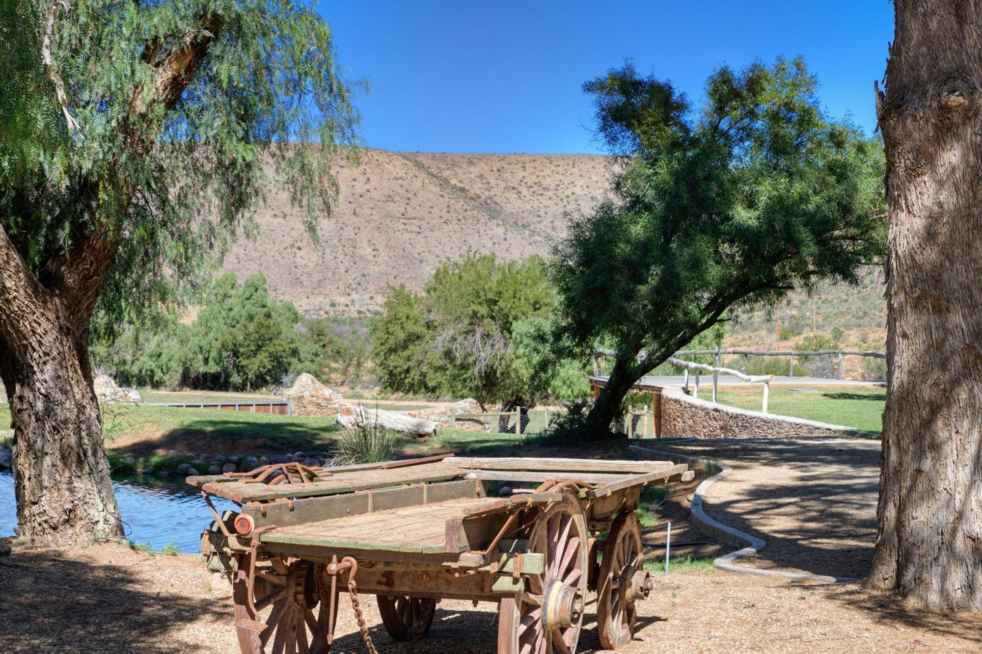 Buccara Wildlife Reserve Graaff Reinet Luaran gambar